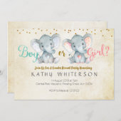 ピンクまたはブルーの象の性別が招待状を明かす 招待状 (正面/裏面)