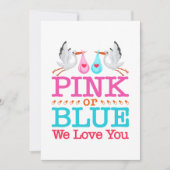 ピンクまたはブルー 愛してるよ 赤ちゃんの性別発表 コウテイボウ シーズンカード (正面)