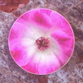 ピンクアイスバーグバラ コースター