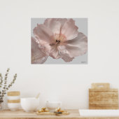 ピンクアイスランドポピーフラワーポスタープリント ポスター (キッチン)