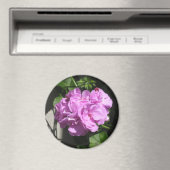 ピンクアイビーゼラニウム マグネット (インサイチュ (食洗機))