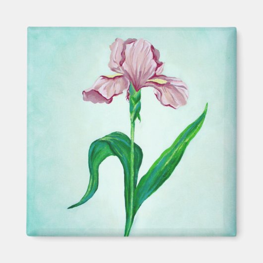 ピンクアイリス磁石 マグネット (正面)