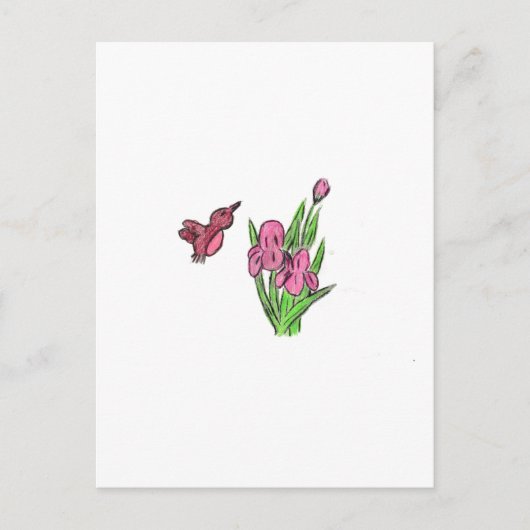 ピンクアイリス ポストカード (正面)