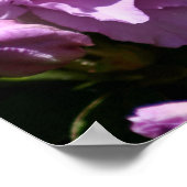 ピンクアザレア春フラワー ポスター (角)