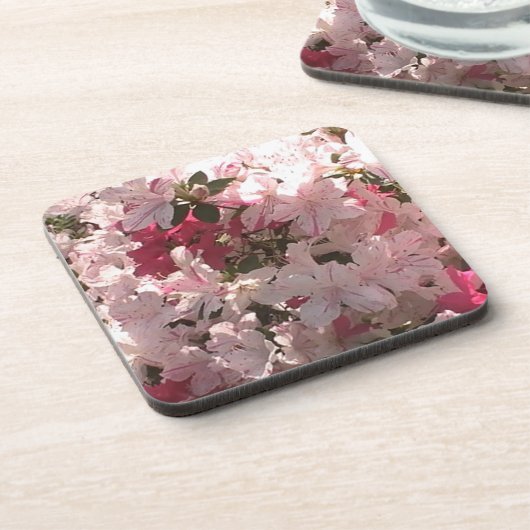 ピンクアザレア コースター (左側)