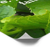 ピンクアジサイと聖なる書物、 経典 ポスター (角)