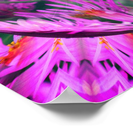 ピンクアスターフラワーエナジー抽象芸術アート ポスター (角)