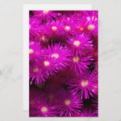 ピンクアスター花スクラップブック紙 便箋 (正面/裏面)