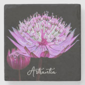 ピンクアストラアンティアフラワーオンブラックフローラ ストーンコースター (正面)