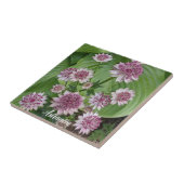 ピンクアストランティア開花フローラ タイル (側面)