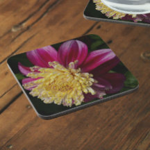 ピンクアネモネダリア開花フローラ