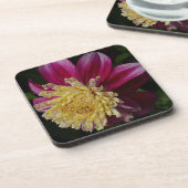 ピンクアネモネダリア開花フローラ コースター (左側)