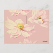 ピンクアネモネ葬儀サンキューカード、悔やみや弔慰 ポストカード (裏面)