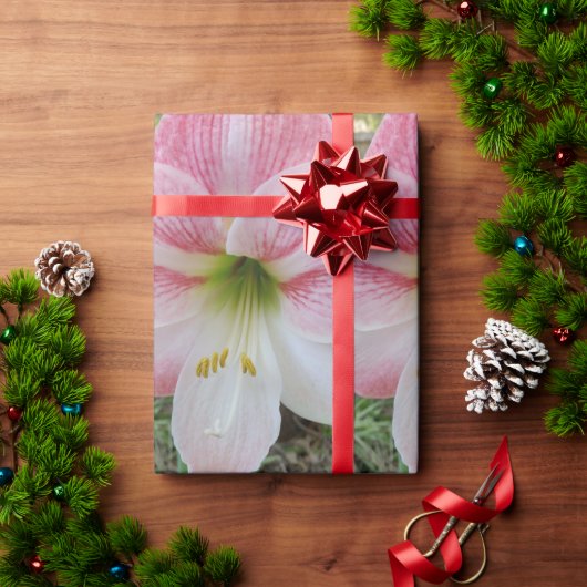 ピンクアマリリスのギフトラッピング紙 ラッピングペーパー (クリスマスギフト)