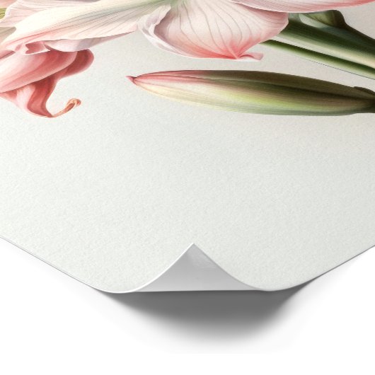 ピンクアマリリスフラワーアートプリントポスター ポスター (角)