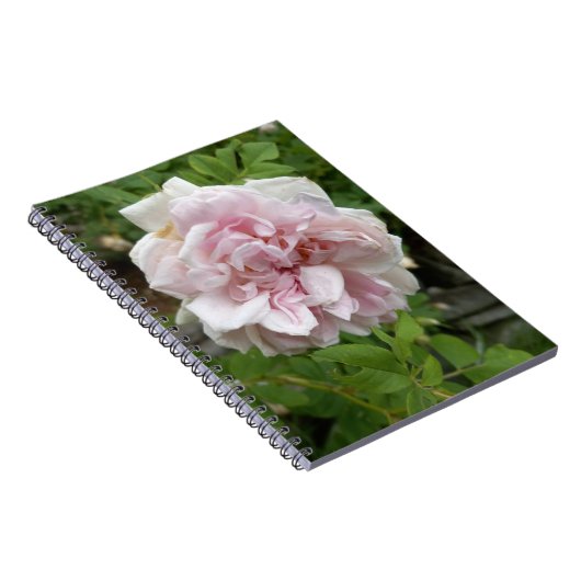 ピンクアンティークバラスパイラルノートブック ノートブック (右側)