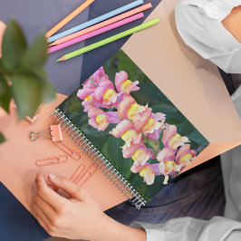 ピンクアンドイエロースナップドラゴンフローラ ノートブック