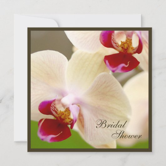 ピンクアンドクリームオーキッドブライダルシャワースクエア 招待状 (正面)