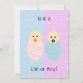 ピンクアンドブルージェンダーリビールパーティの招待状 招待状 (裏面)