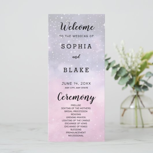 ピンクアンドブルースターズシナ結婚式 プログラム (スタンド正面)