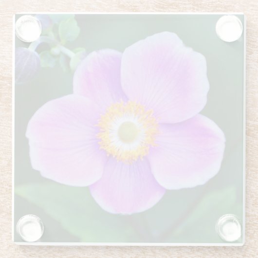 ピンクア日本のネモンフローラ ガラスコースター (裏面)