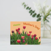 ピンクイエローパープルチューリップ母の日はがき ポストカード (スタンド正面)