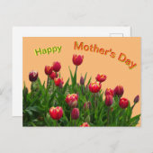 ピンクイエローパープルチューリップ母の日はがき ポストカード (正面/裏面)