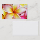 ピンクイエローパープルプルメリアフランギパニフラワーズ 名刺 (正面/裏面)