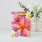 ピンクイエローパープルプルメリアフランジパニ花 ポストカード (スタンド正面)
