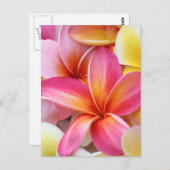 ピンクイエローパープルプルメリアフランジパニ花 ポストカード (正面/裏面)
