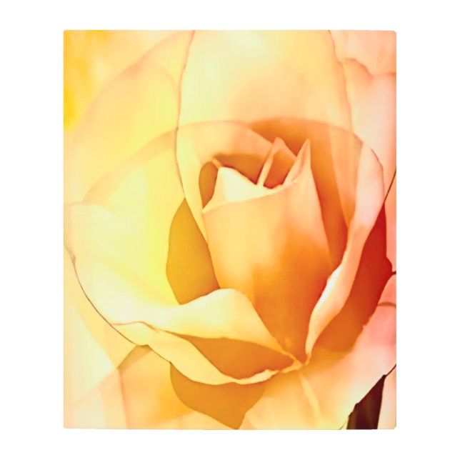 ピンクイエローローズウォーターカラースタイルメタルウォールアート メタルプリント (正面)