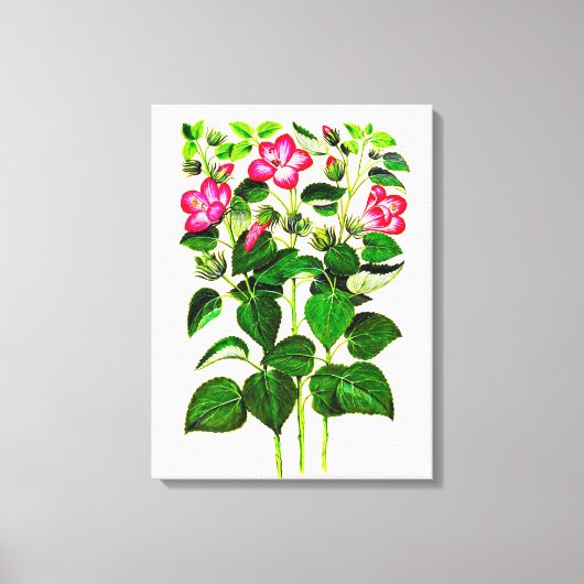 ピンクイタリアンのハイビスカス花 キャンバスプリント (正面)