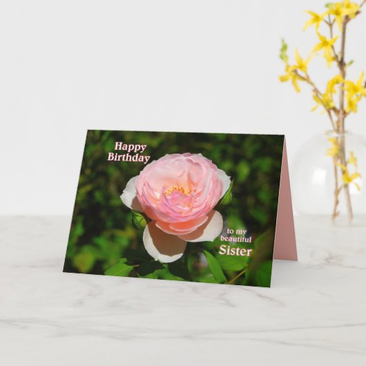 ピンクイングリッシュバラシスターハッピーバースデー カード (黄色い花)