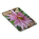 ピンクウィンク マグネット (右側)