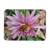 ピンクウィンク マグネット (横)