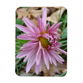 ピンクウィンク マグネット