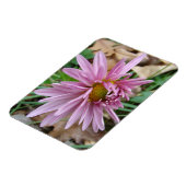 ピンクウィンク マグネット (左側)