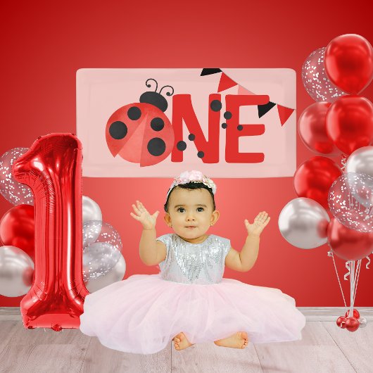 ピンクウォーターカラー1レディーバグ誕生日ミニバナー 横断幕