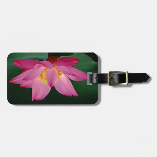 ピンクウォーターリリーインフル開花 ラゲッジタグ (正面横)