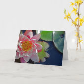 ピンクウォーターリリーカード カード (黄色い花)