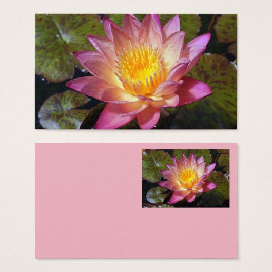 ピンクウォーターリリー写真名刺 (正面&裏面)