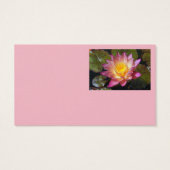 ピンクウォーターリリー写真名刺 (裏面)