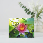 ピンクウォーターリリー ポストカード (スタンド正面)