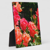 ピンクエレガントがかった赤いオレンジ色のフローラバラ フォトプラーク (側面)