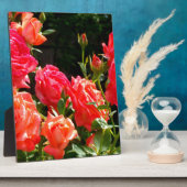 ピンクエレガントがかった赤いオレンジ色のフローラバラ フォトプラーク (側面)