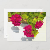 ピンクエレガントがかった赤いフローラ ポストカード (正面/裏面)