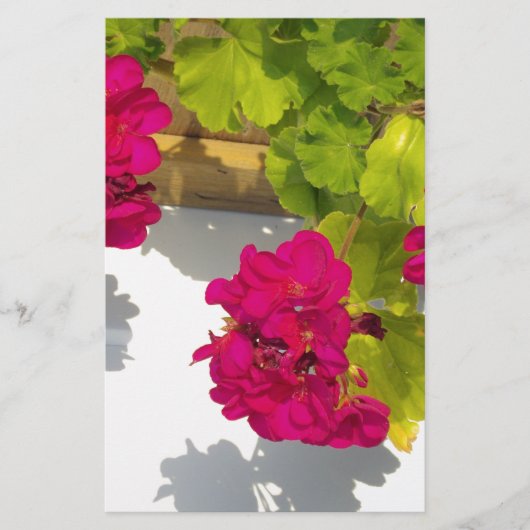 ピンクエレガントがかった赤いフローラ 便箋 (正面)