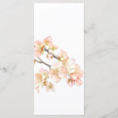 ピンクエレガントのオレンジ色のフローラはスクリプエレガントト メニュー (裏面)