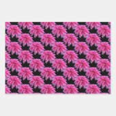 ピンクエレガントのダリア花3色のギフトラップ ラッピングペーパーシート (正面3)