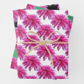 ピンクエレガントのダリア花3色のギフトラップ ラッピングペーパーシート (インサイチュ)